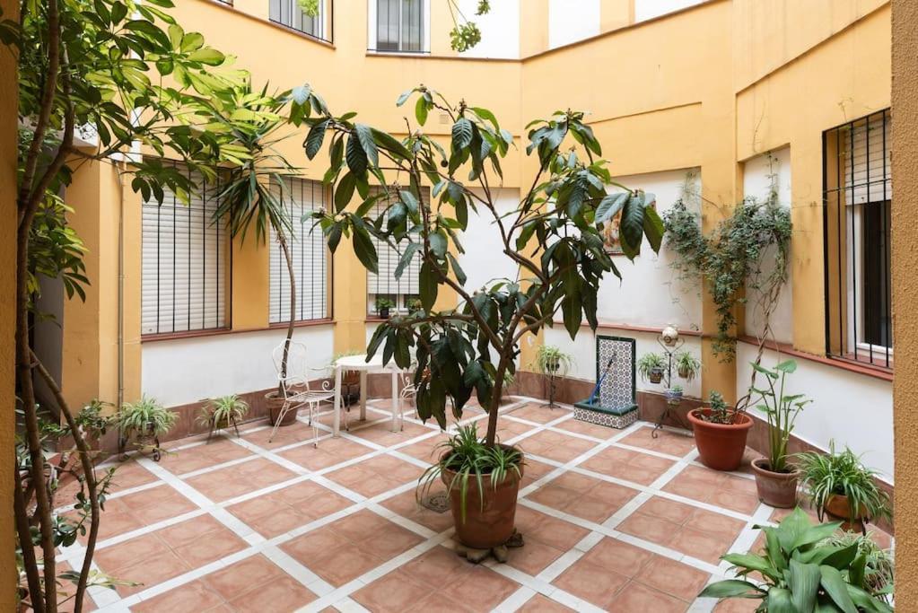 Mia Suite. Center Of Siviglia Esterno foto